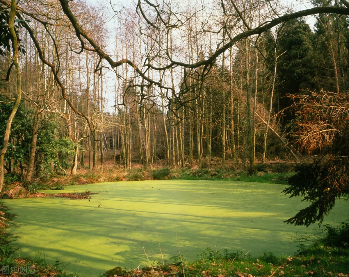 1598337794178085.jpg 1598337794178085.jpg