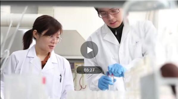 1578887540719328.jpg 3.jpg