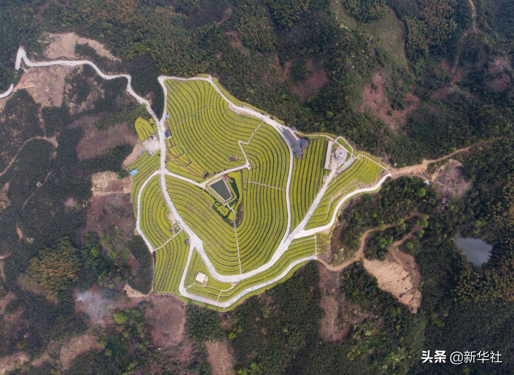 1598337052664029.jpg 1598337052664029.jpg