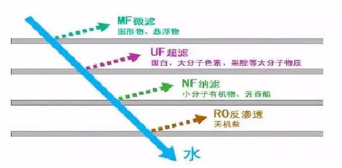 1631498660314524.jpg 1.jpg