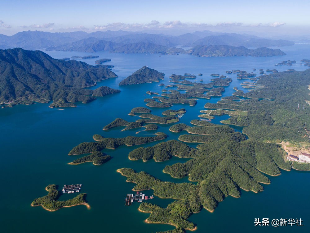 1598336843115016.jpg 1598336843115016.jpg