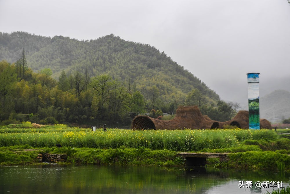 1598336811110203.jpg 1598336811110203.jpg